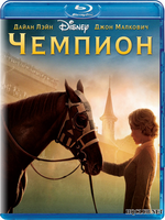 Фильмы про лошадей