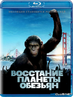 Фильмы про обезьян